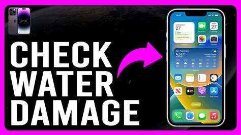How to Tell If Your iPhone Has Water Damage in 3 .
